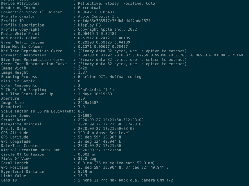 Тестирование создание сорев