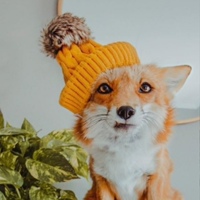Кайданов Кирилл